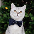 Purrfect Dots Jingle, Meow, Rock