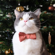 Santa Kitty